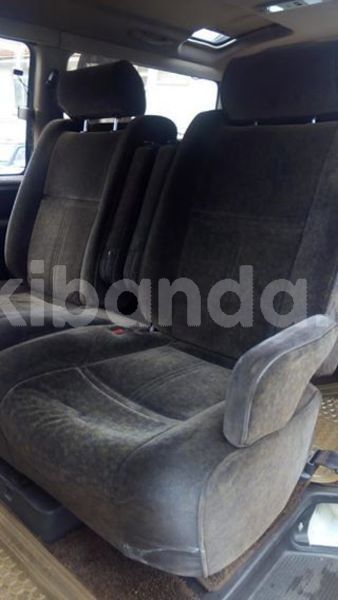 Big with watermark 56340197 1238498742980835 9212437660004515840 n