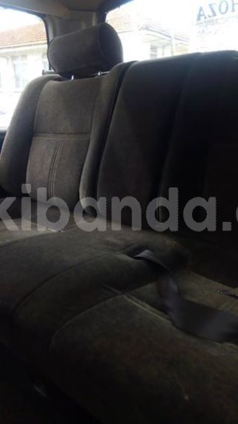 Big with watermark 56236302 1238498722980837 6805395196843393024 n