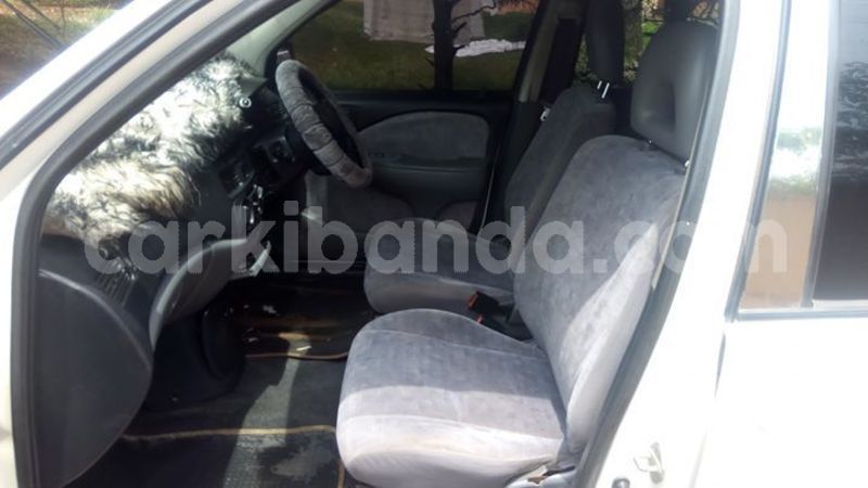 Big with watermark 56744700 1238114903019219 4330373589049016320 o