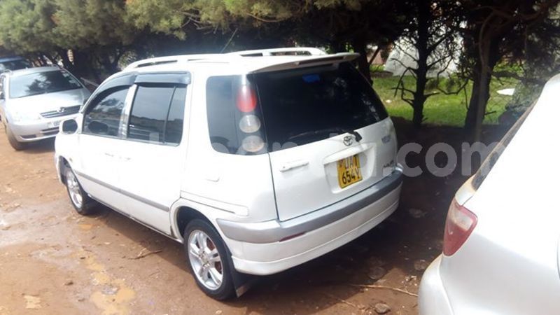 Big with watermark 55944958 1238114736352569 7526981176091738112 o