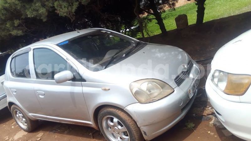 Big with watermark 56544588 1237424556421587 1463848635434270720 o