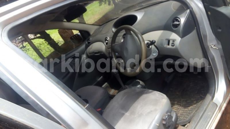 Big with watermark 56393184 1237424453088264 416663131096350720 o