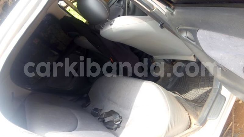 Big with watermark 56213705 1237424429754933 2872088448091553792 o