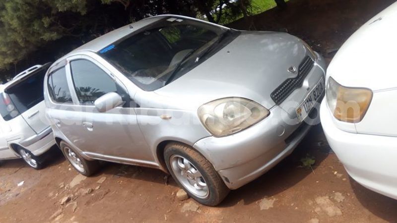 Big with watermark 56604976 1237424369754939 3864889075072761856 o