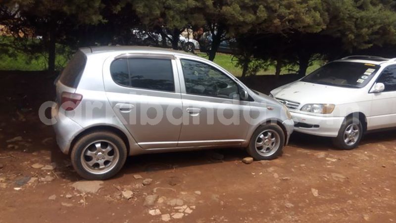 Big with watermark 56219951 1237424283088281 2104964506856718336 o