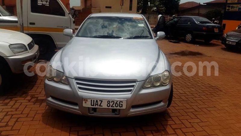 Big with watermark 56232090 1236072589890117 503586723637231616 o