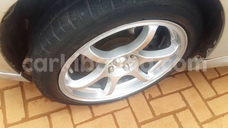 Big with watermark 56344538 1236072269890149 1476639524783128576 o