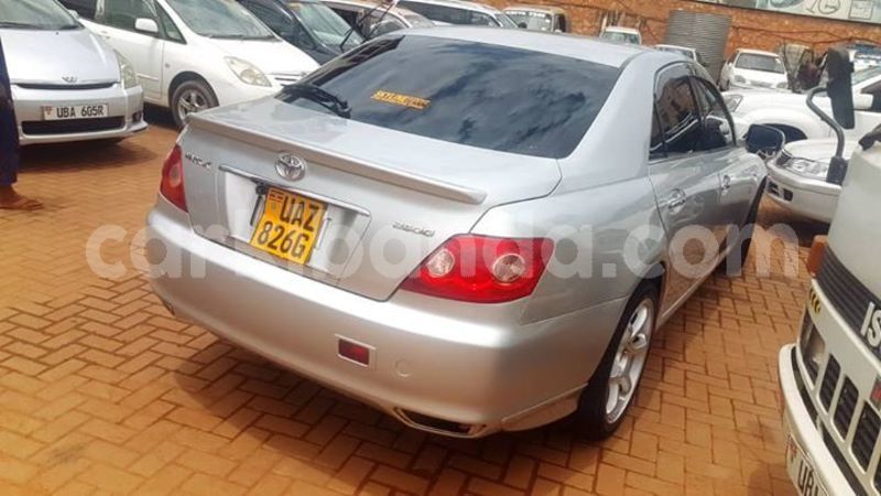 Big with watermark 55798274 1236072196556823 2067012324698357760 o