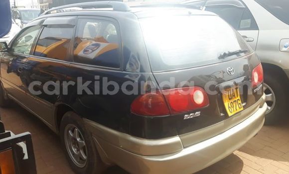 Buy Used Toyota Caldina Other Car in Kampala in Uganda Buy Used Toyota Caldina Other Car in Kampala in Uganda