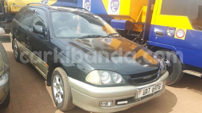 Big with watermark 55576676 1234388460058530 2915029166044741632 o