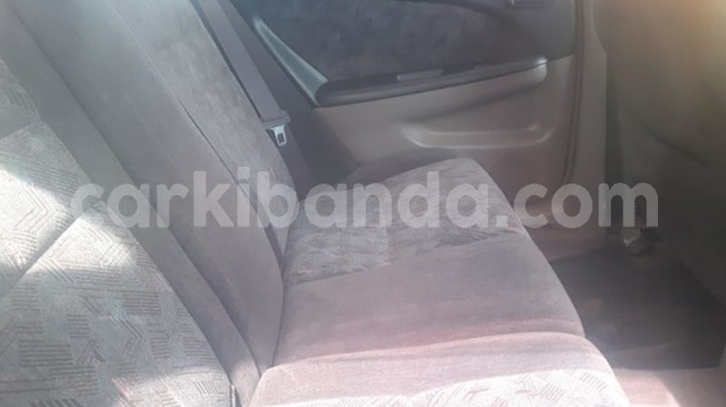 Big with watermark 55613170 1234388396725203 3917561664932675584 o