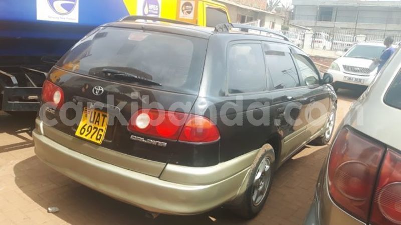 Big with watermark 56384109 1234388300058546 8595643544134221824 o