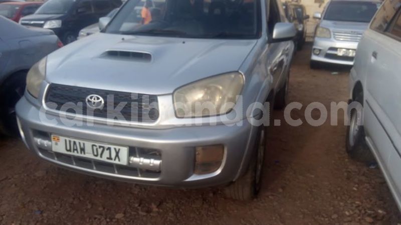 Big with watermark 55759875 1230955353735174 5343747646248976384 o