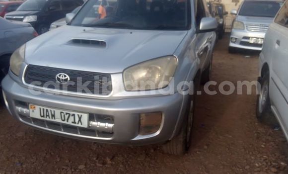 Buy Used Toyota RAV4 Silver Car in Kampala in Uganda Buy Used Toyota RAV4 Silver Car in Kampala in Uganda