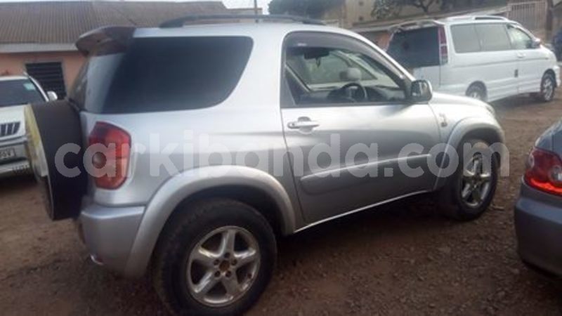 Big with watermark 54730399 1230955047068538 8817908969285615616 n