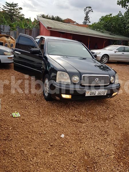 Big with watermark 56640105 183990062582740 763051109647384576 n