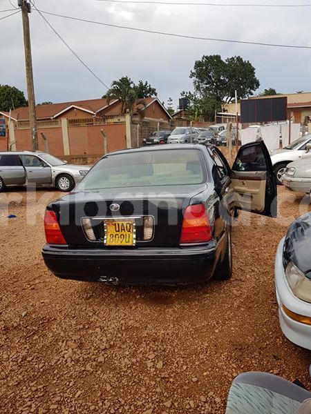 Big with watermark 56892241 183990129249400 9013103121081040896 n