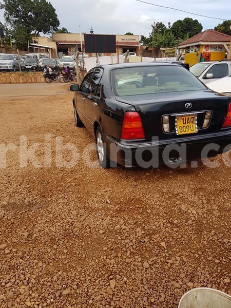 Big with watermark 56962072 183990092582737 8356998183162740736 n