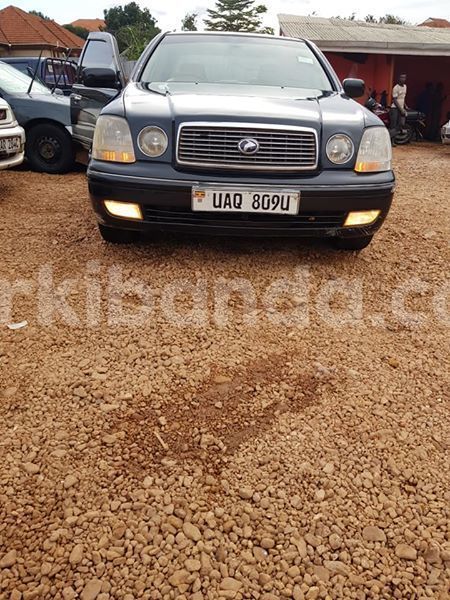 Big with watermark 56803542 183990075916072 3454045547353079808 n