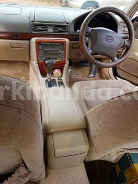 Big with watermark 56899625 183989979249415 3570182511008940032 n