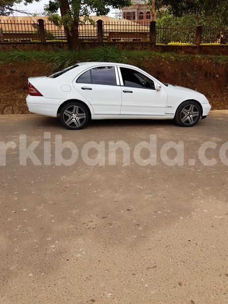 Big with watermark 55468404 178807103101036 7157474131615678464 n