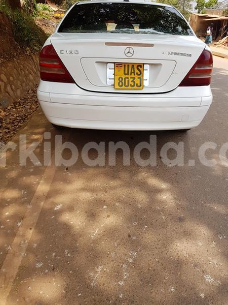 Big with watermark 54516253 178807016434378 7548589238162292736 n