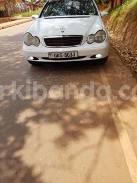 Big with watermark 55471887 178807003101046 8232044880008839168 n