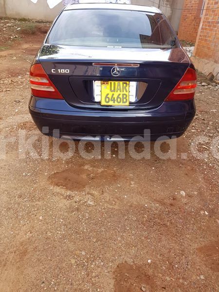 Big with watermark 53274870 172504667064613 3271994858771841024 n