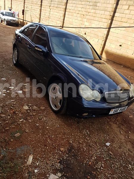 Big with watermark 53218954 172504640397949 1677904458232627200 n