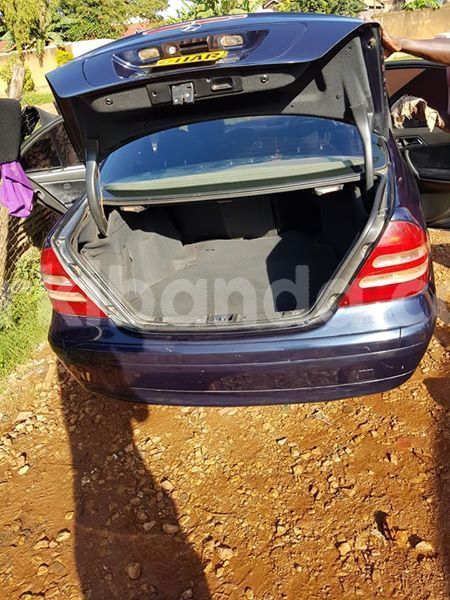 Big with watermark 52905704 172504427064637 6340777437332242432 n