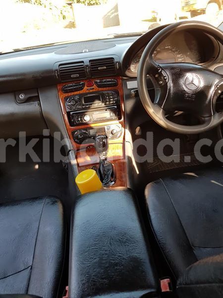 Big with watermark 53117756 172504407064639 8070069100497338368 n