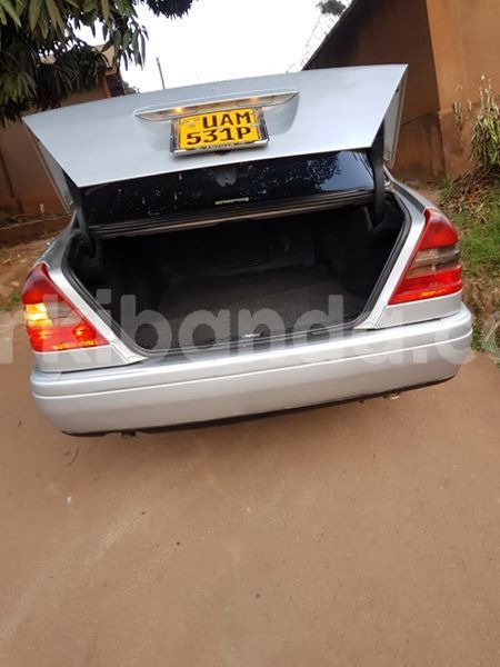 Big with watermark 51325132 165267127788367 7293511091798147072 n