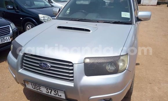 Buy Used Subaru Forester Silver Car in Kampala in Uganda Buy Used Subaru Forester Silver Car in Kampala in Uganda