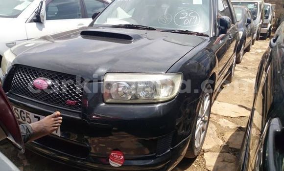 Buy Used Subaru Forester Black Car in Kampala in Uganda Buy Used Subaru Forester Black Car in Kampala in Uganda