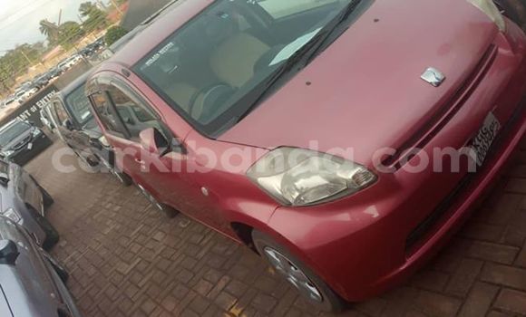 Buy Used Toyota Passo Red Car in Kampala in Uganda Buy Used Toyota Passo Red Car in Kampala in Uganda