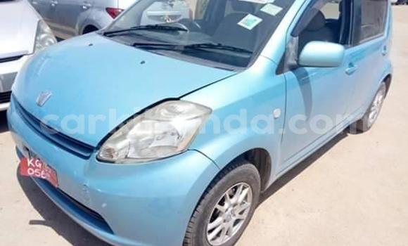 Buy Used Toyota Passo Blue Car in Kampala in Uganda Buy Used Toyota Passo Blue Car in Kampala in Uganda