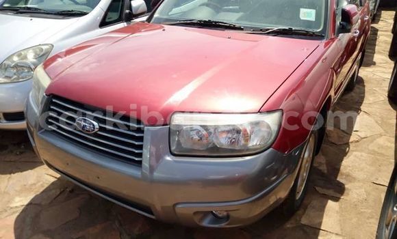 Buy Used Subaru Forester Red Car in Kampala in Uganda Buy Used Subaru Forester Red Car in Kampala in Uganda