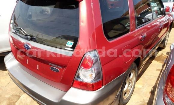 Buy Used Subaru Forester Red Car in Kampala in Uganda Buy Used Subaru Forester Red Car in Kampala in Uganda