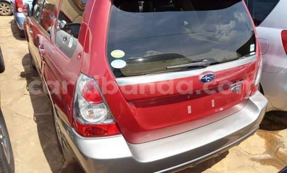 Buy Used Subaru Forester Red Car in Kampala in Uganda Buy Used Subaru Forester Red Car in Kampala in Uganda