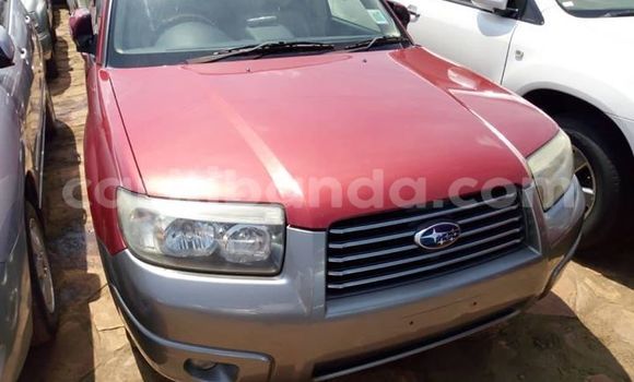 Buy Used Subaru Forester Red Car in Kampala in Uganda Buy Used Subaru Forester Red Car in Kampala in Uganda