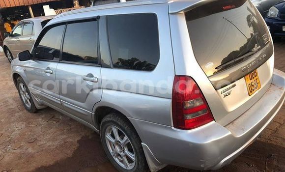 Buy Used Subaru Forester Silver Car in Kampala in Uganda Buy Used Subaru Forester Silver Car in Kampala in Uganda