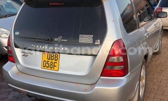 Buy Used Subaru Forester Silver Car in Kampala in Uganda Buy Used Subaru Forester Silver Car in Kampala in Uganda