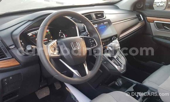 Buy Import Honda C Other Bike in Import - Dubai in Uganda Buy Import Honda C Other Bike in Import - Dubai in Uganda