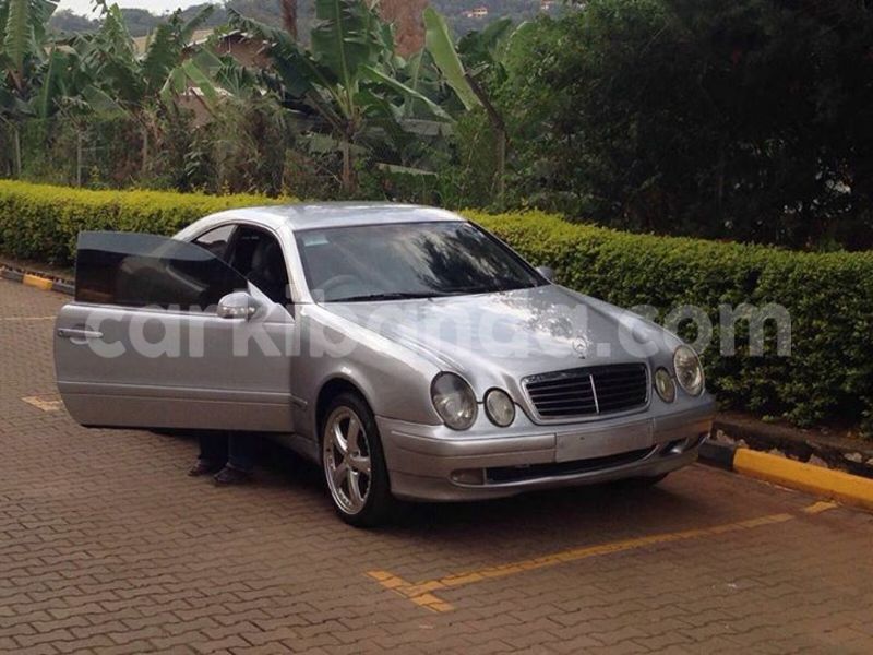 Big with watermark 12799135 451789005030575 5120208391666356562 n