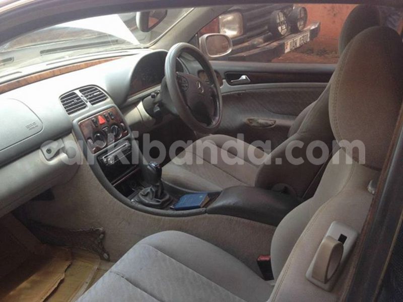 Big with watermark 12806047 451788975030578 4709877616188585345 n