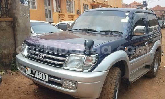 Buy Used Toyota Prado Blue Car in Arua in Uganda