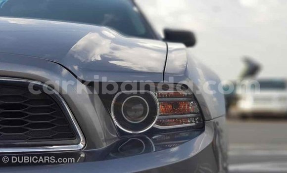 Buy Import Ford Mustang Other Car in Import - Dubai in Uganda Buy Import Ford Mustang Other Car in Import - Dubai in Uganda