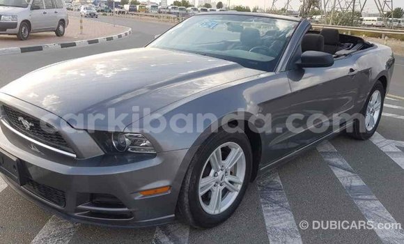 Buy Import Ford Mustang Other Car in Import - Dubai in Uganda Buy Import Ford Mustang Other Car in Import - Dubai in Uganda