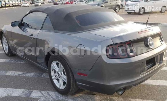 Buy Import Ford Mustang Other Car in Import - Dubai in Uganda Buy Import Ford Mustang Other Car in Import - Dubai in Uganda