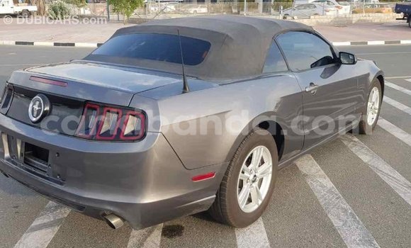 Buy Import Ford Mustang Other Car in Import - Dubai in Uganda Buy Import Ford Mustang Other Car in Import - Dubai in Uganda